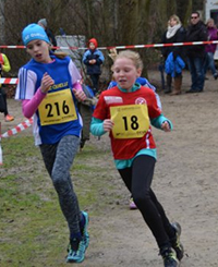 Mittelfränkische Meisterschaften im Crosslauf - Zirndorf